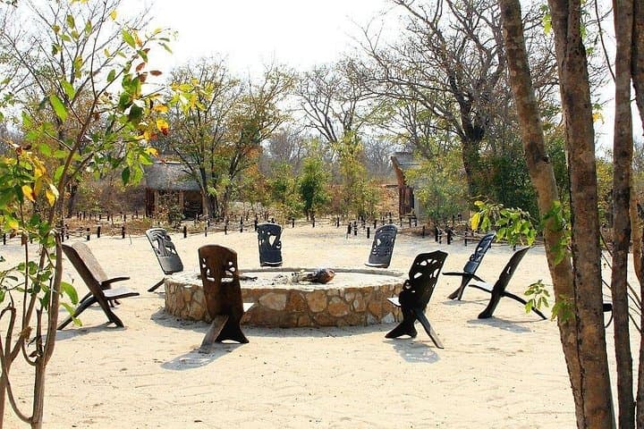 5-Day Safari: Victoria Falls, Hwange & Chobe National Park Adventure photo 2