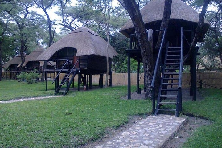 5-Day Safari: Victoria Falls, Hwange & Chobe National Park Adventure photo 4