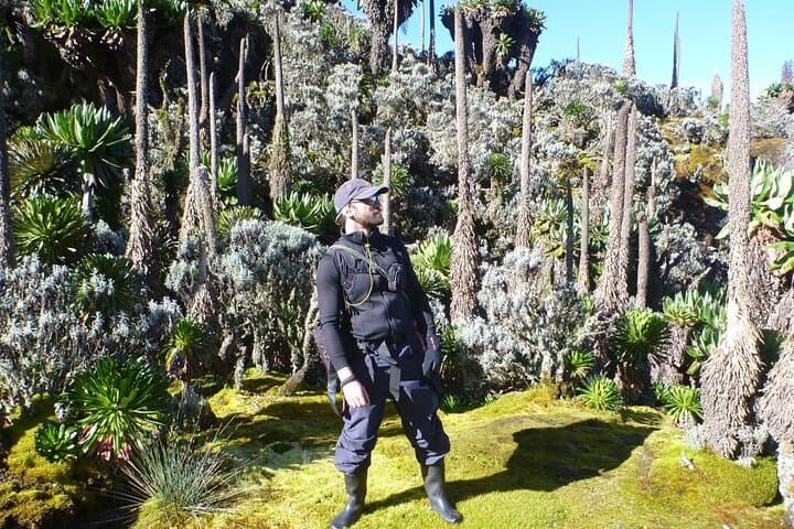 4-Day Mount Bisoke Hike & Bwindi Gorilla Trekking Adventure