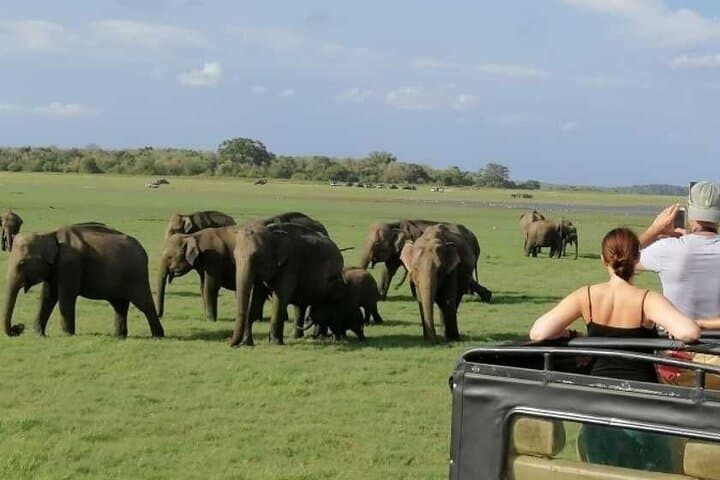 Sigiriya, Dambulla & Minneriya Day Tour from Trincomalee — Rock Fortress, Cave Temples & Elephant Safari photo 6
