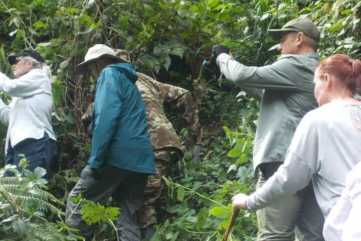 4-Day Mount Bisoke Hike & Bwindi Gorilla Trekking Adventure photo 5