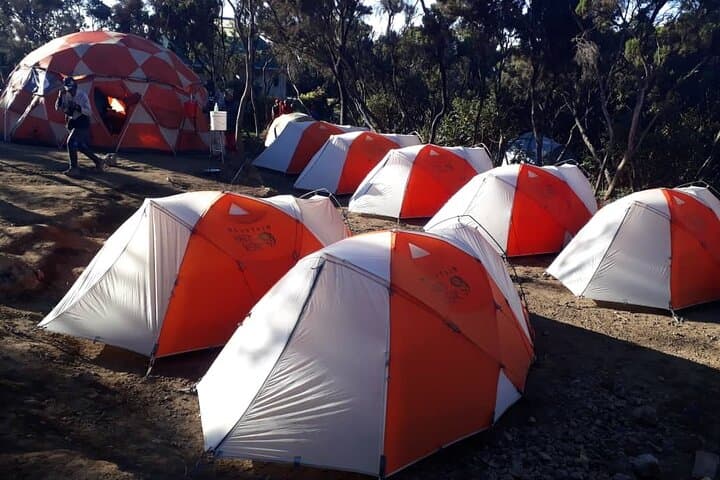 9-Day Northern Circuit Kilimanjaro Trek: Guided Small-Group Route with High Summit Success photo 2