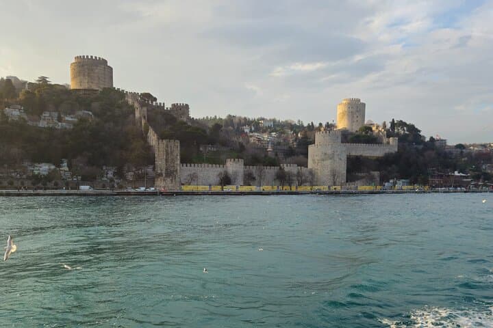 Midday Bosphorus Cruise: Istanbul Boat Tour with Lunch and Asian Shore Stop photo 2