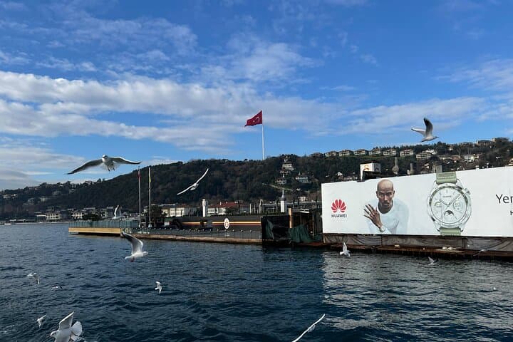 Midday Bosphorus Cruise: Istanbul Boat Tour with Lunch and Asian Shore Stop photo 3