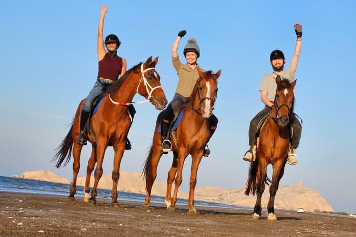 Muscat Beach Horseback Riding: Coastal Rides Along Oman's Shoreline