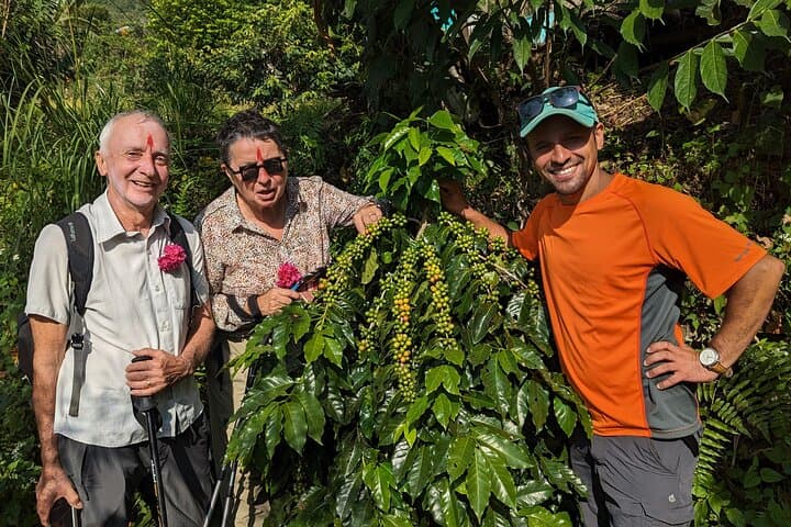 Sarangkot Coffee Farm Hike: Village Coffee Culture & Local Life Tour