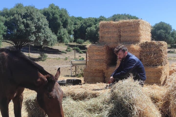 Mindfulness with Free‑Roaming Horses at Zahora’s Mangueta Beach photo 4