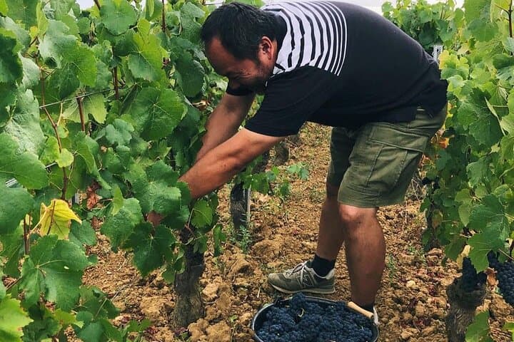 Private Wine Tasting Tour in Lisbon’s Oeste Wine Region photo 3