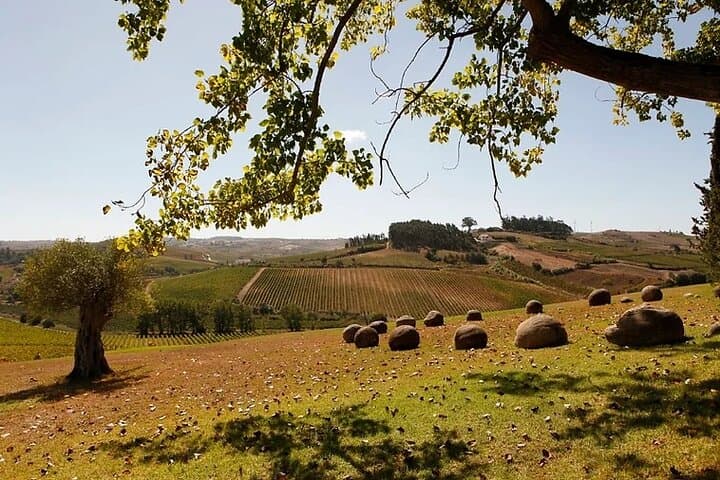 Private Wine Tasting Tour in Lisbon’s Oeste Wine Region photo 2