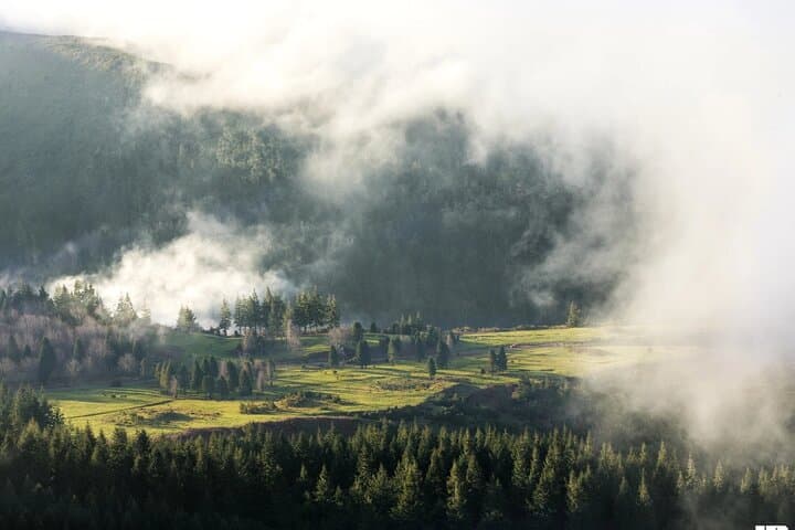 Half-Day Madeira 4x4 Private Tour — Off-Road Views, Levadas & Waterfalls photo 2