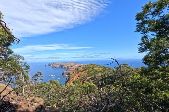 Half-Day Madeira 4x4 Private Tour — Off-Road Views, Levadas & Waterfalls photo 5