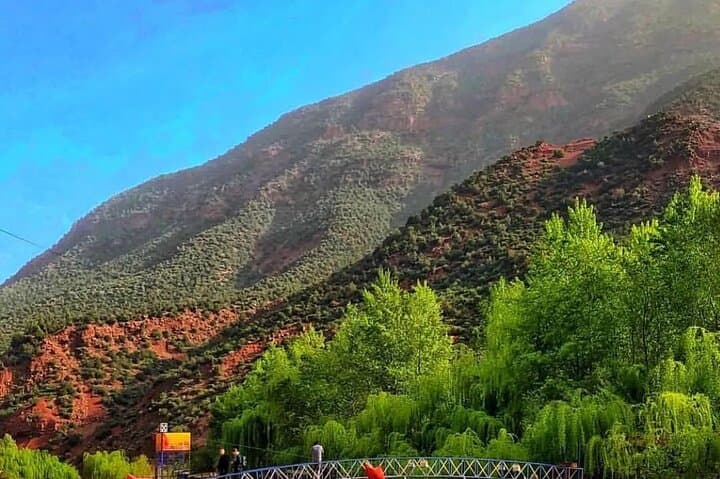 Ourika Valley & Setti Fatma Waterfalls: Day Trip From Marrakech photo 6
