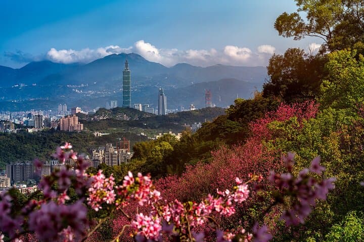 Taipei Timeless Treasures: Private Full-Day Cultural Tour of Taipei