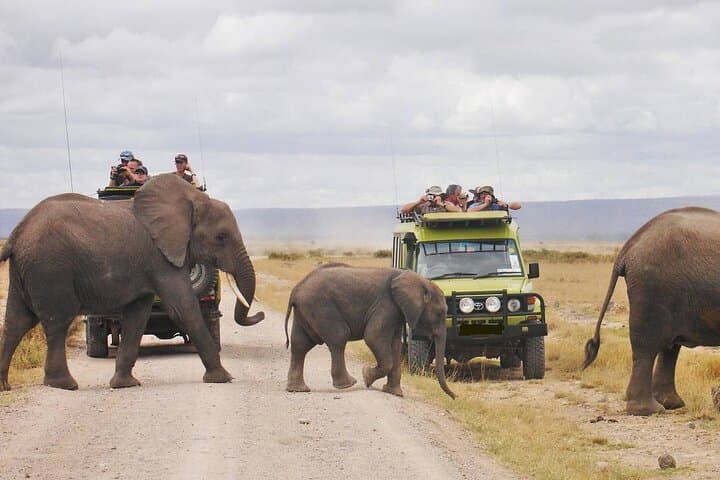 4-Day Amboseli & Tsavo Safari — Kilimanjaro Views and Red Elephants photo 2
