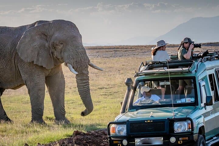 4-Day Amboseli & Tsavo Safari — Kilimanjaro Views and Red Elephants photo 4