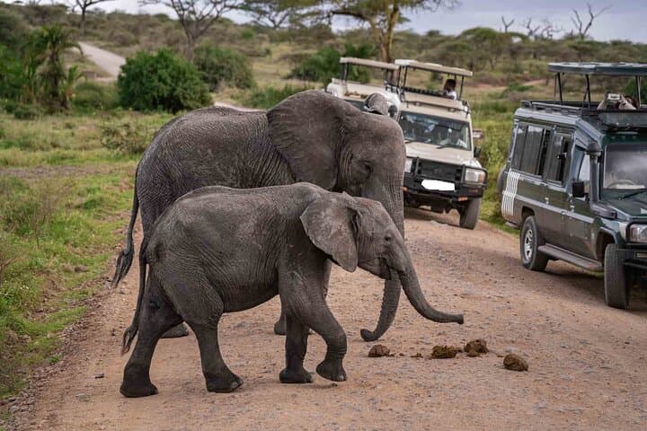 Amboseli Safari: 4-Day 4x4 Landcruiser Wildlife Adventure with Kilimanjaro Views