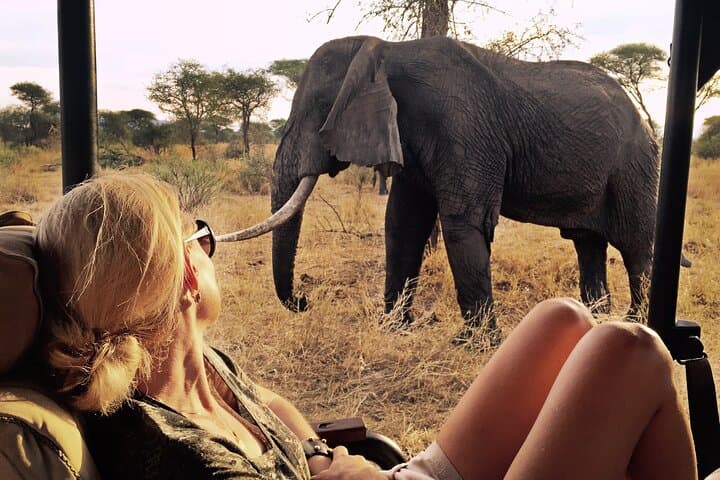 Amboseli Safari: 4-Day 4x4 Landcruiser Wildlife Adventure with Kilimanjaro Views photo 3
