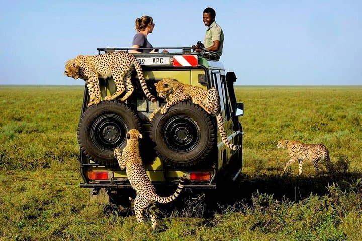 Amboseli National Park 3-Day Budget Safari: Kilimanjaro Views & Elephant Herds photo 3
