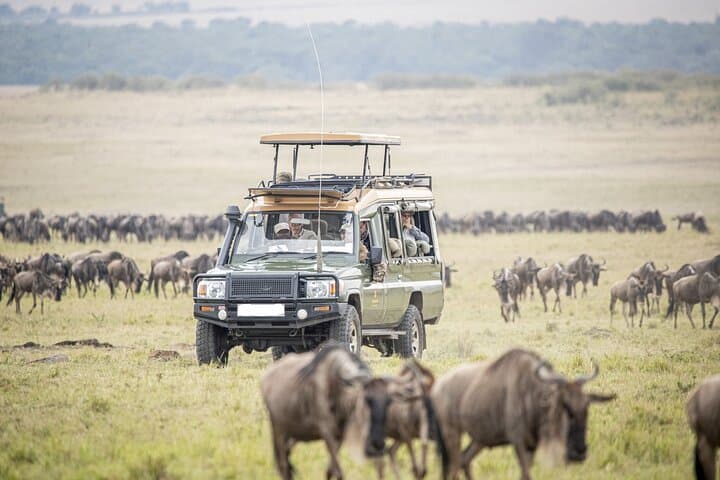4-Day Masai Mara & Lake Nakuru Jeep Camping Safari: Big Five, Flamingos & Maasai Culture photo 5