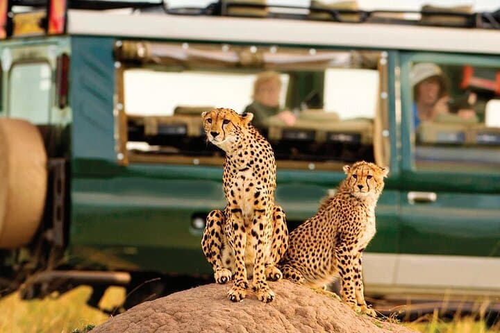 5-Day Aberdares, Solio & Samburu Luxury Safari — 4x4 Kenya Wildlife Tour photo 6