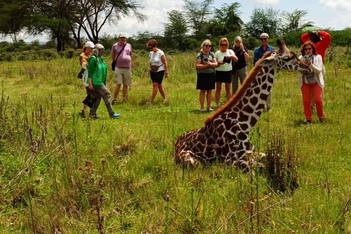 3-Day-Maasai-Mara-Great-Migration-Safari-8th-Wonder photo 2