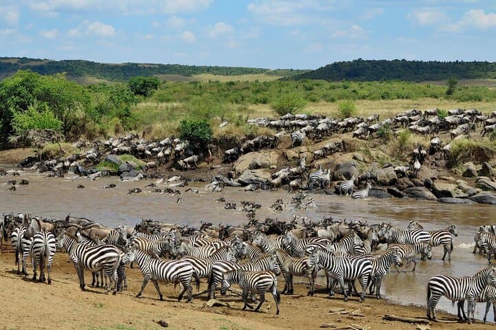 3-Day-Maasai-Mara-Great-Migration-Safari-8th-Wonder photo 3