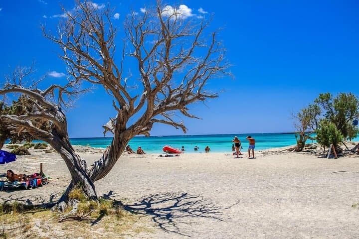 Elafonissi Private Tour from Rethymnon — Pink Sands, Shallow Lagoons & Protected Wildlife photo 4