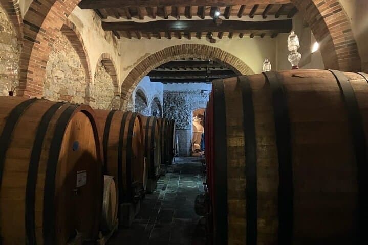 Electric Bike Tour and Chianti Wine Tasting from Florence photo 5