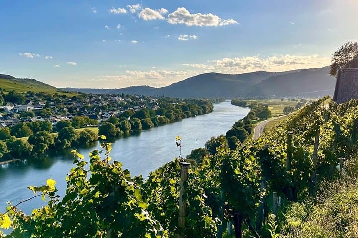 Private Tour to Burg Eltz & the Mosel: Riesling, Castles and Terraced Vineyards from Frankfurt photo 3
