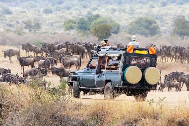 Masai Mara 4-Day Safari with Sunrise Hot Air Balloon — Big Five & Cultural Visit photo 4