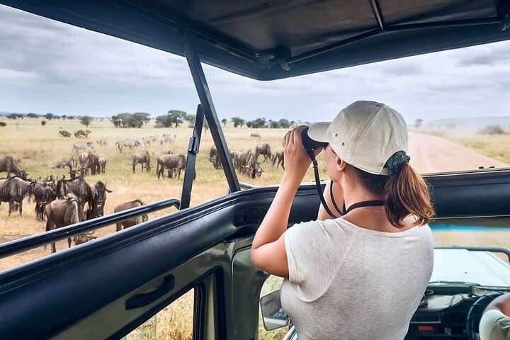 Lake Nakuru & Masai Mara: 4-Day Private Jeep Safari from Nairobi photo 1