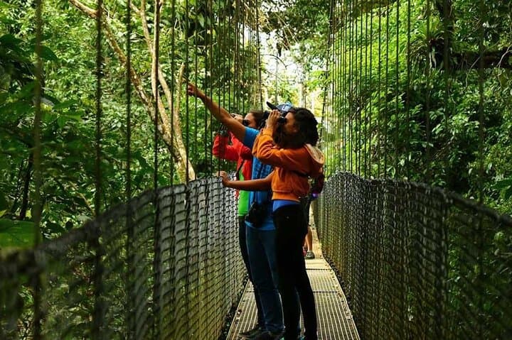 Arenal Volcano Hike, Hanging Bridges & La Fortuna Waterfall: Full-Day Adventure photo 6