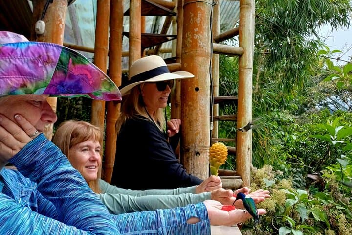 Mindo Cloudforest Private Tour from Quito — Hummingbirds, Butterflies & Chocolate