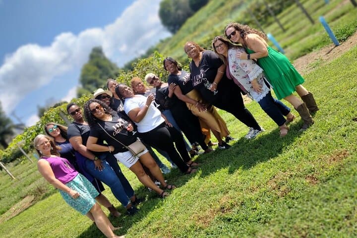 North Georgia Mountains Three-Vineyard Wine Tasting Tour photo 5
