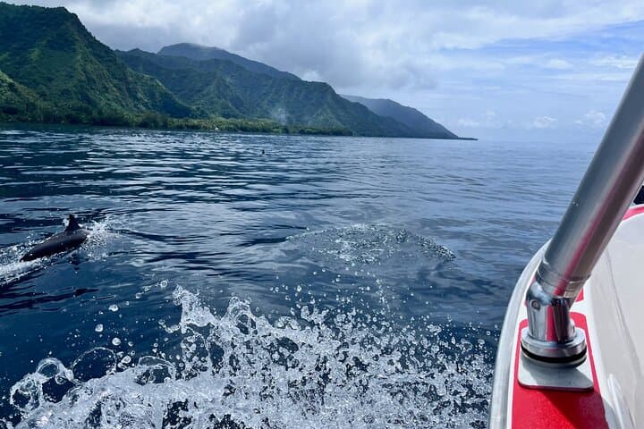 Tahiti Iti Discovery: 4-Hour Boat Excursion to Teahupo'o & Te Pari photo 3