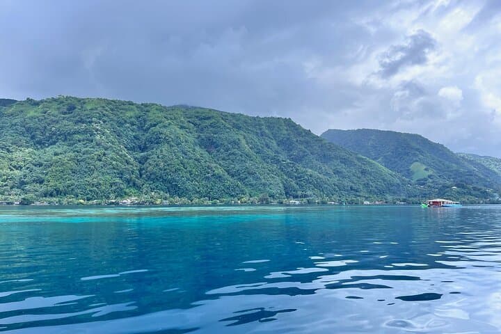 Tahiti Iti Discovery: 4-Hour Boat Excursion to Teahupo'o & Te Pari photo 4