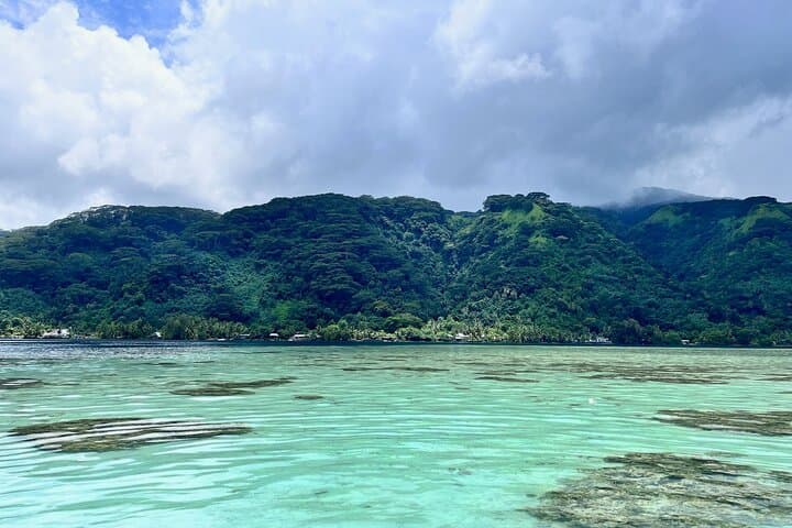 Tahiti Iti Discovery: 4-Hour Boat Excursion to Teahupo'o & Te Pari photo 6