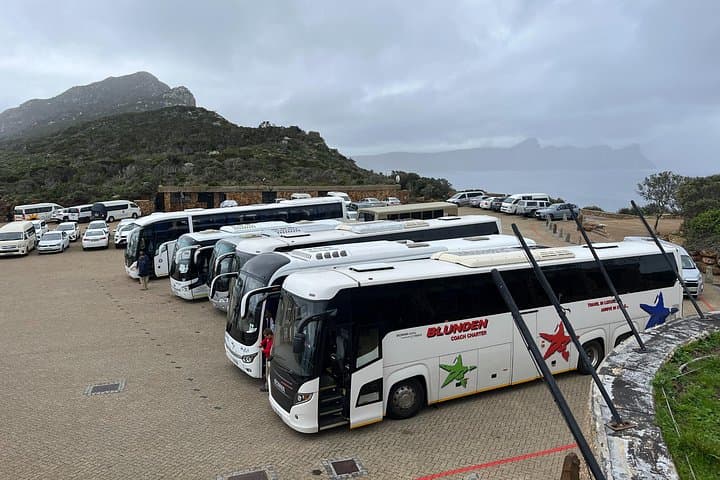 Table Mountain to Cape of Good Hope: Full-Day Scenic Tour with Bo-Kaap & Penguins photo 4