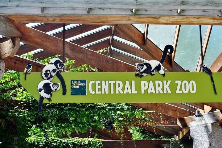 Wall Street to Central Park Zoo — 5-Hour Manhattan Walking Tour