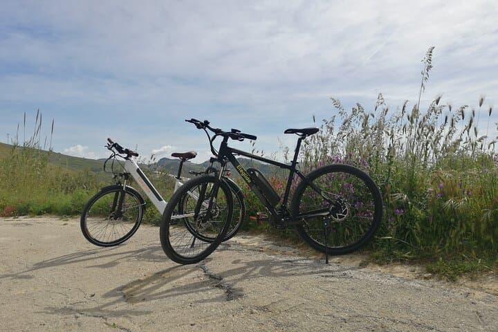 E‑Bike Tour to Selinunte: Temples, Belice Valley & Coastal Dunes photo 2