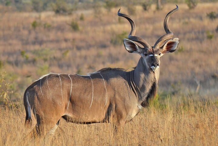 3-Day Tarangire, Ngorongoro & Materuni Safari from Arusha photo 3