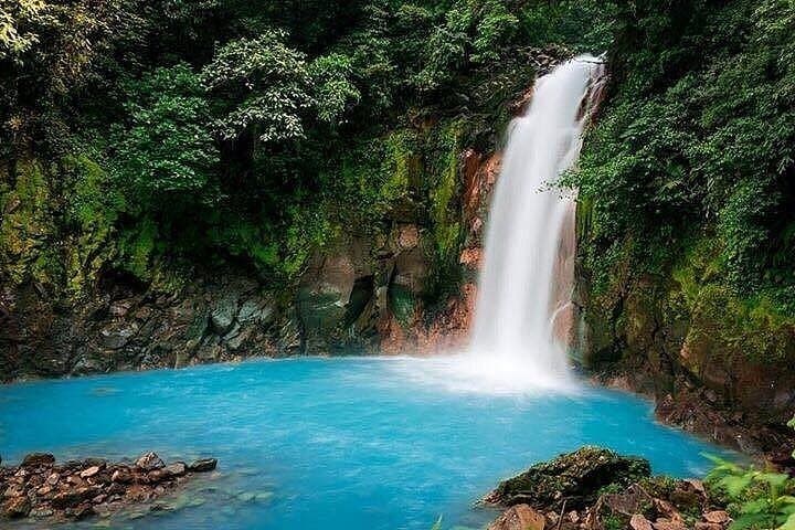 Río Celeste Private Hike: Waterfall, Hot Springs & Blue River Experience photo 6