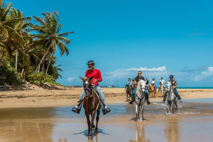 Luquillo Beach Horseback Ride from Carabalí Rainforest Adventure Park photo 3