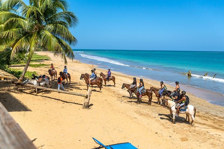 Luquillo Beach Horseback Ride from Carabalí Rainforest Adventure Park photo 4