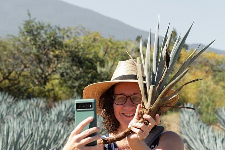 Private Distillery Tour & Agave Fields: El Tequileño and Tequila Day Trip photo 4