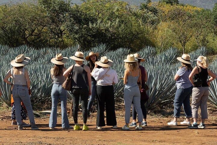 Private Distillery Tour & Agave Fields: El Tequileño and Tequila Day Trip photo 6