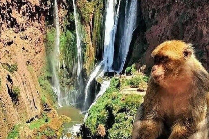 Ouzoud Waterfalls Private Day Trip from Marrakech: Hike, Boat & Lunch photo 3