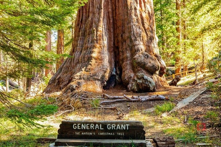Self-Guided Audio Driving Tour of Sequoia & Kings Canyon: GPS-Led Road Trip Guide photo 5