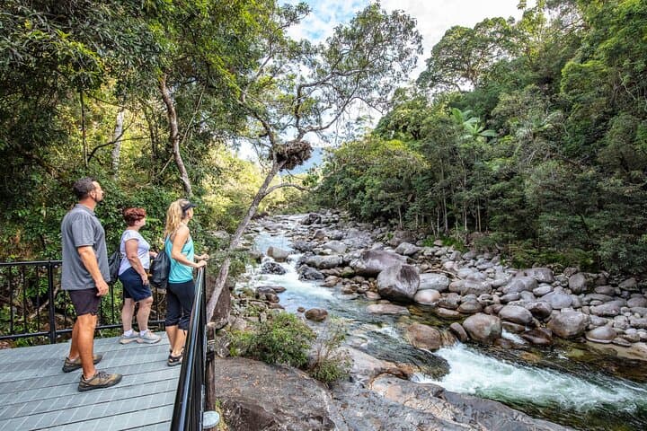 Mossman Gorge Adventure Day: River Drift, Kuku Yalanji Ceremony & Daintree Walk photo 2