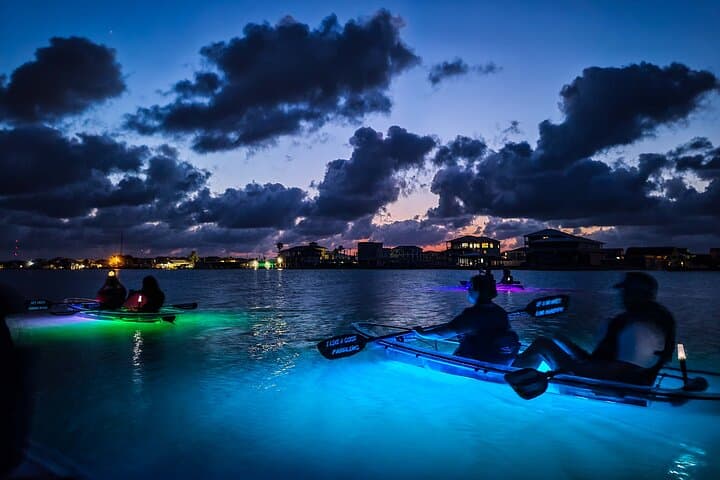 Glowing Kayak Tour on the Lower Colorado River near Austin photo 4